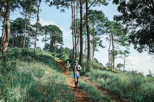 BIB: 
                            <button type="button" onclick="openModal(25671841)" class="btn btn-primary btn-sm float-right btn-popup" data-toggle="modal" data-target=".modal-high-quality">
                        <i class="fas fa-shopping-cart"></i> Add to Cart
                    </button>
                                            <button type="button" onclick="isThisMe(25671841, true)" class="btn btn-success btn-sm float-right btn-popup btn-isme hidden" data-toggle="tooltip" data-placement="bottom" title="นี่คือรูปของคุณใช่ไหม คลิกที่นี่เพื่อเอาเข้าอัลบั้ม">
                        <i class="fas fa-plus"></i> Add to album
                    </button>
                    <button type="button" onclick="isThisMe(25671841, false)" class="btn btn-warning btn-sm float-right btn-popup btn-isnotme hidden">
                        <i class="fas fa-ban"></i> Remove from album
                    </button>